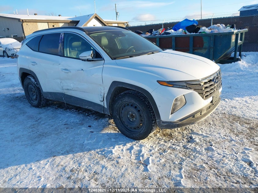 KM8JCCD15RU246883 2024 Hyundai Tucson Ultimate Awd auction photo 1