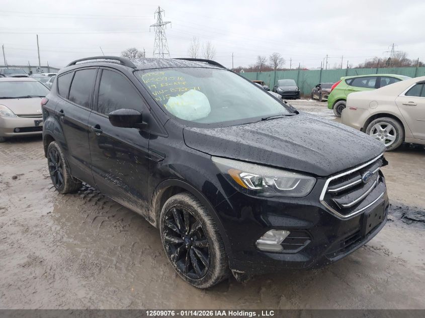 2019 Ford Escape