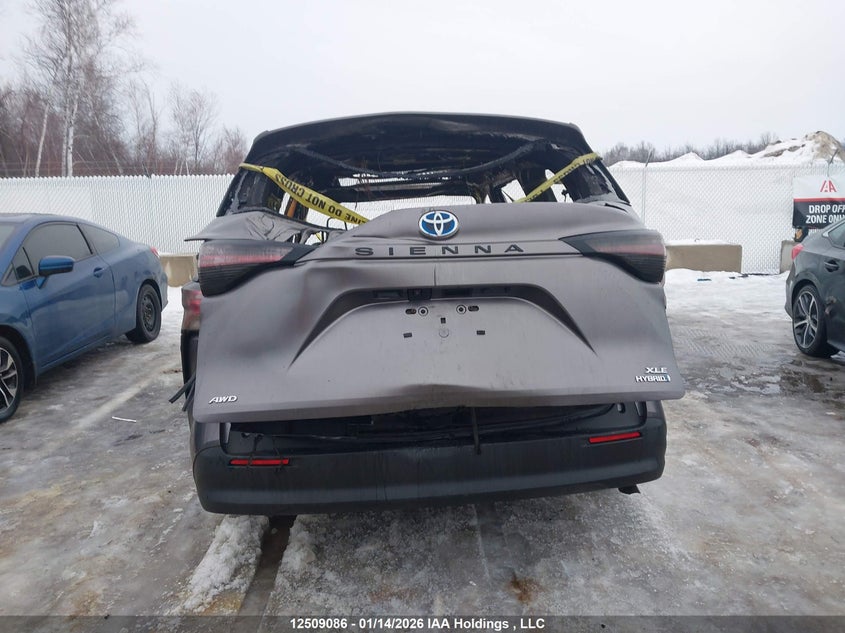 2021 Toyota Sienna Le/Xle/Xse/Limited/Platinum VIN: 5TDGSKFC3MS036600 Lot: 12509086