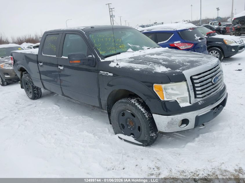 2010 Ford F-150 Fx4/Harley-Davidson/Lariat/Xlt