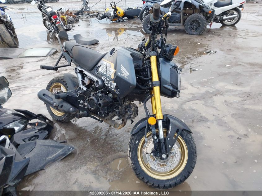 2024 Honda GROM