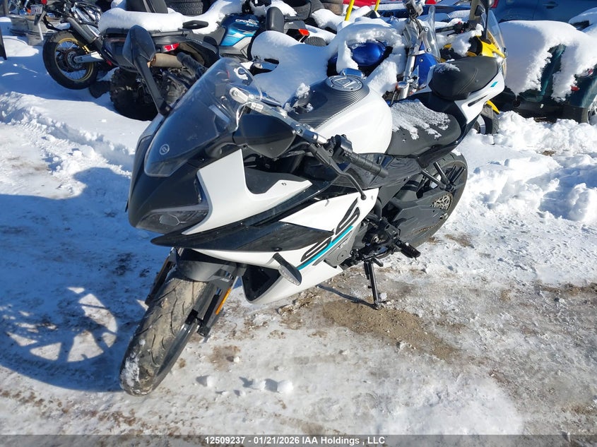 2024 OTHER CF MOTO 300SS SPORT_BIKE 1