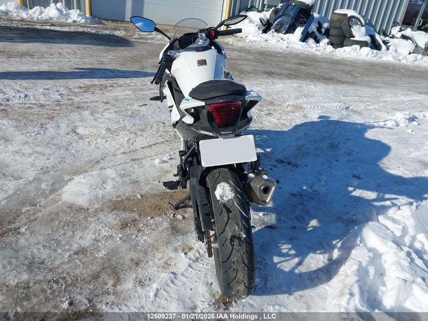 2024 OTHER CF MOTO 300SS SPORT_BIKE 1