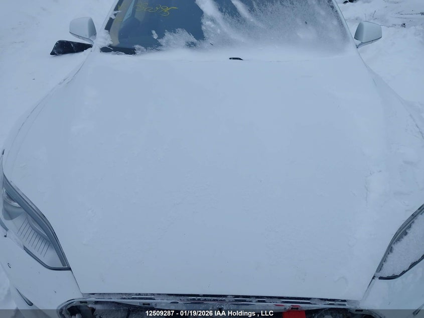 2014 Tesla Model S VIN: 5YJSA1H13EFP50395 Lot: 12509287