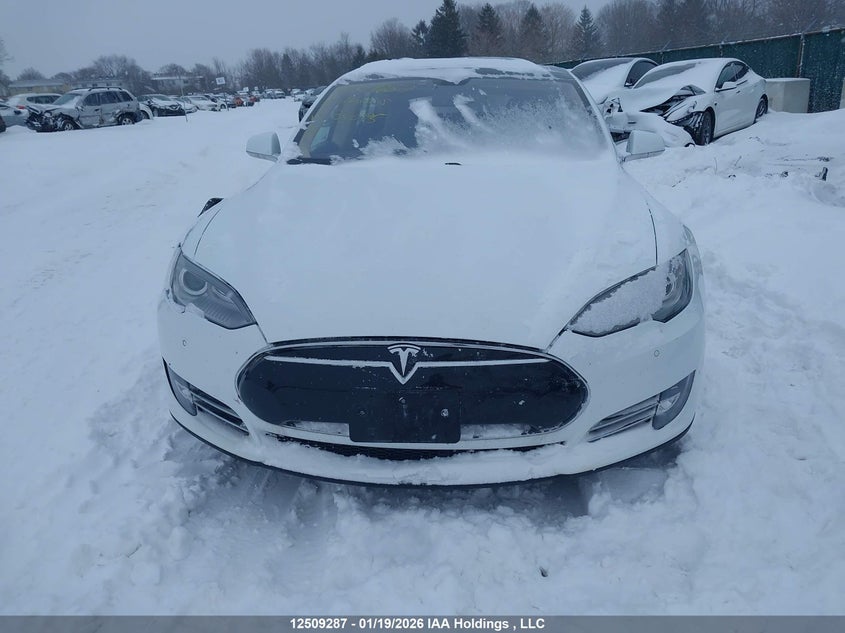 2014 Tesla Model S VIN: 5YJSA1H13EFP50395 Lot: 12509287