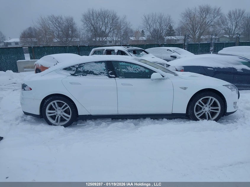 2014 Tesla Model S VIN: 5YJSA1H13EFP50395 Lot: 12509287