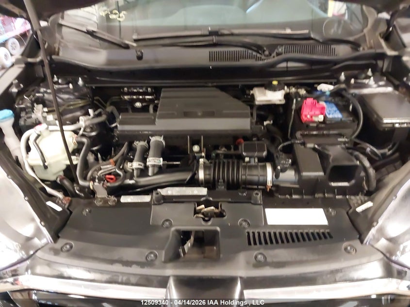 2021 Honda Cr-V VIN: 2HKRW2H47MH238736 Lot: 12509340