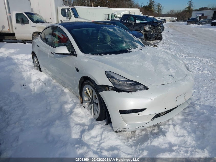 5YJ3E1EA2MF862942 2021 Tesla Model 3 Standard Range/Standard Range Plus auction photo 1