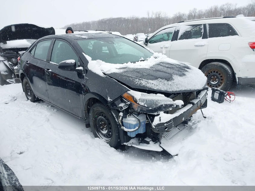 2T1BURHE7KC145627 2019 Toyota Corolla Ce auction photo 1
