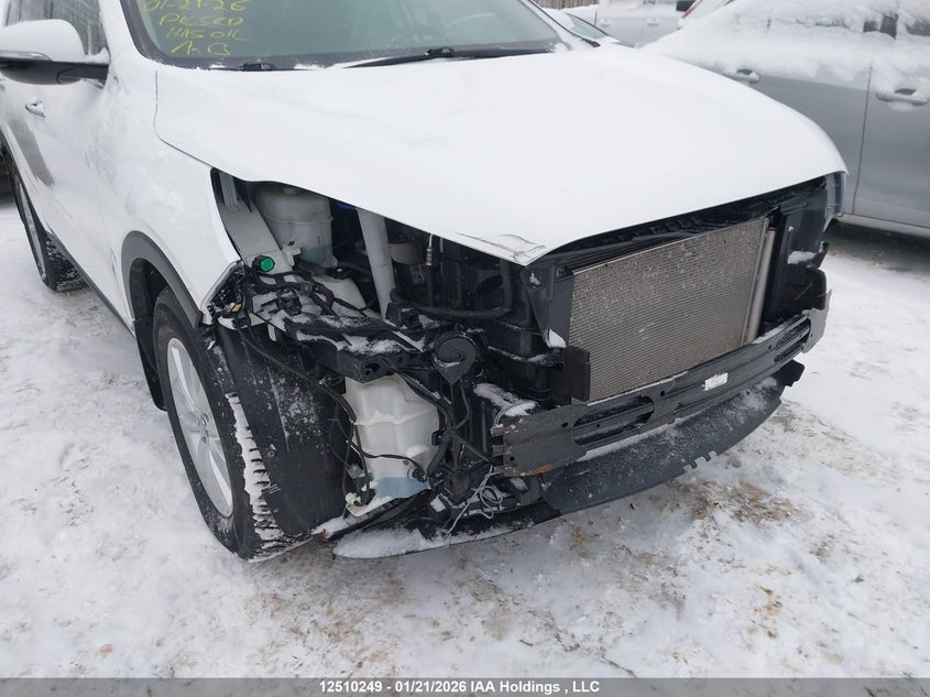 2019 Kia Sorento 2.4L Lx VIN: 5XYPGDA33KG601202 Lot: 12510249