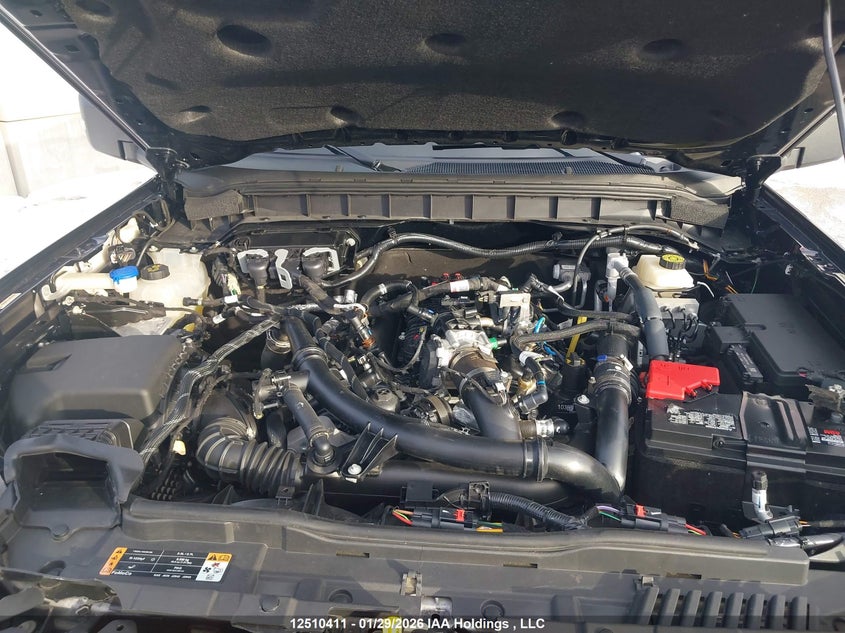 2023 Ford Bronco Wildtrak VIN: 1FMEE5DP1PLB28361 Lot: 12510411