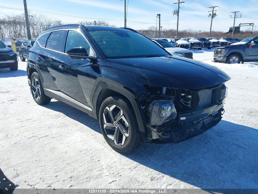 KM8JCCD14RU198311 2024 Hyundai Tucson Sel Convenience auction photo 1