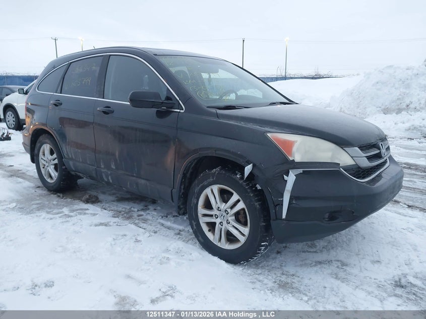 5J6RE3H54AL803799 2010 Honda Cr-V auction photo 1
