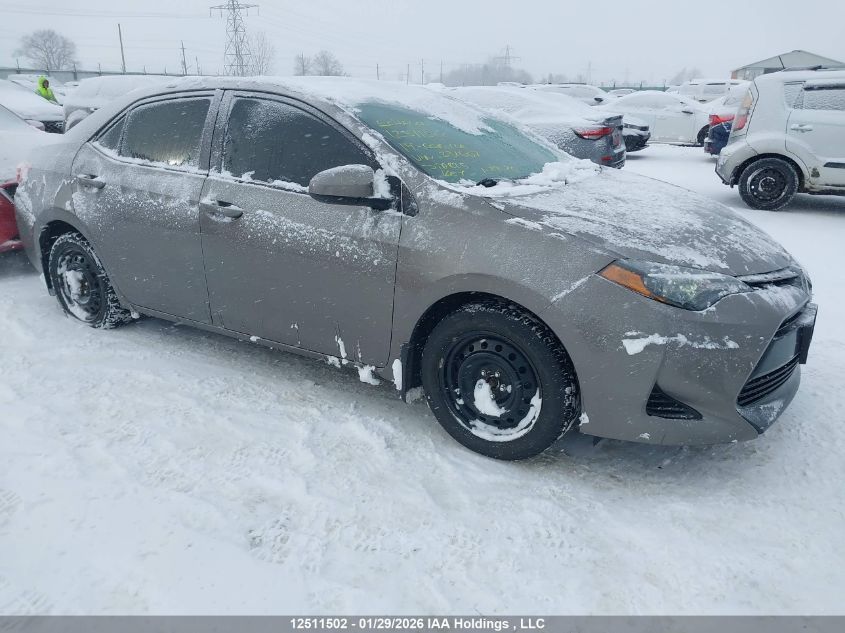 2019 Toyota Corolla