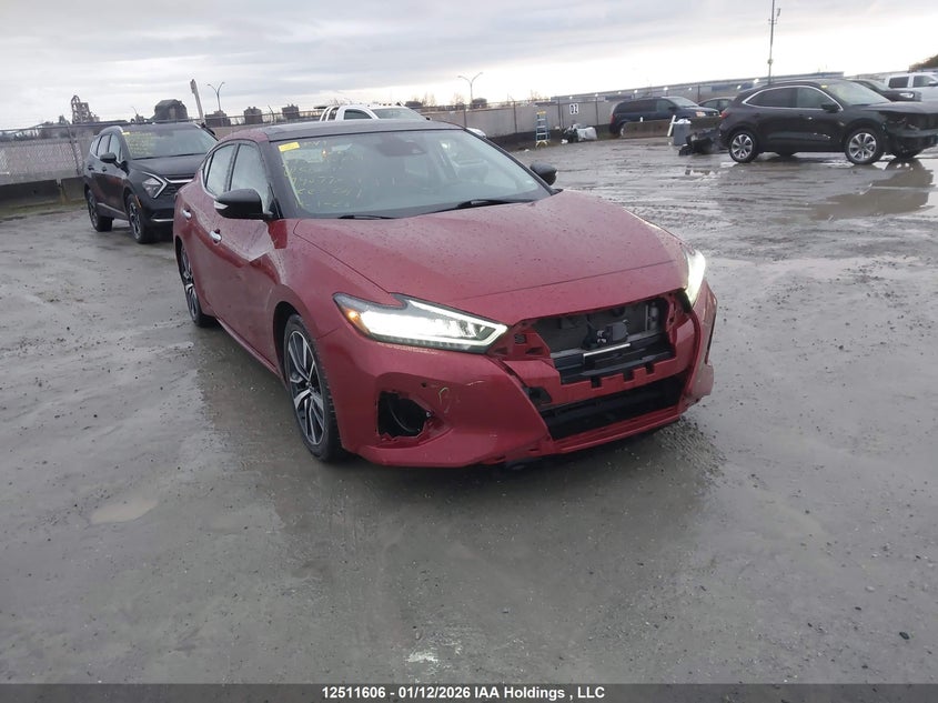 1N4AA6DV4PC508450 2023 Nissan Maxima Sl auction photo 1