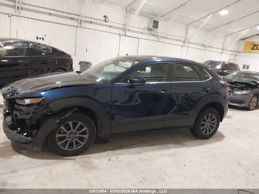 2021 Mazda Cx-30 Gx VIN: 3MVDMAB7XMM275723 Lot: 12511854