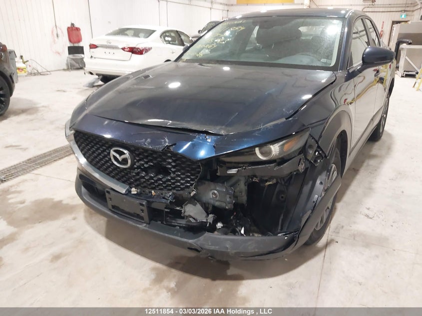 2021 Mazda Cx-30 Gx VIN: 3MVDMAB7XMM275723 Lot: 12511854