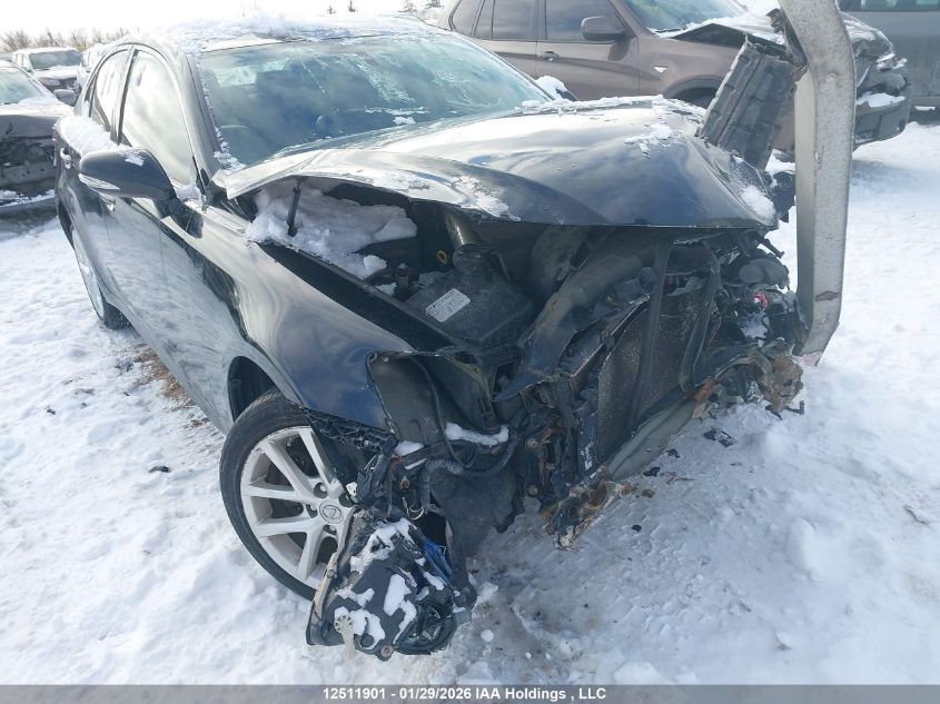 2009 Lexus Is 250 VIN: JTHCK262X95030228 Lot: 12511901