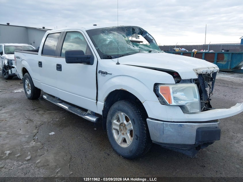 1FTRW14869FA48723 2009 Ford F-150 Xlt auction photo 1