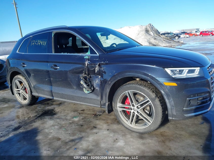 2019 Audi Sq5 3.0T Technik VIN: WA1C4AFY0K2096007 Lot: 12512921