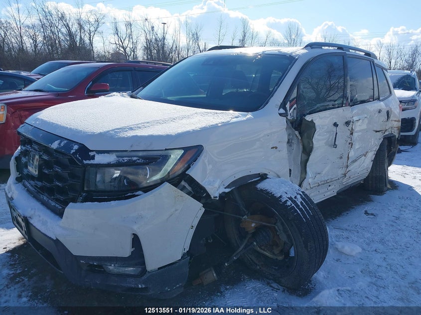 2023 Honda Passport Touring VIN: 5FNYF8H9XPB503064 Lot: 12513551