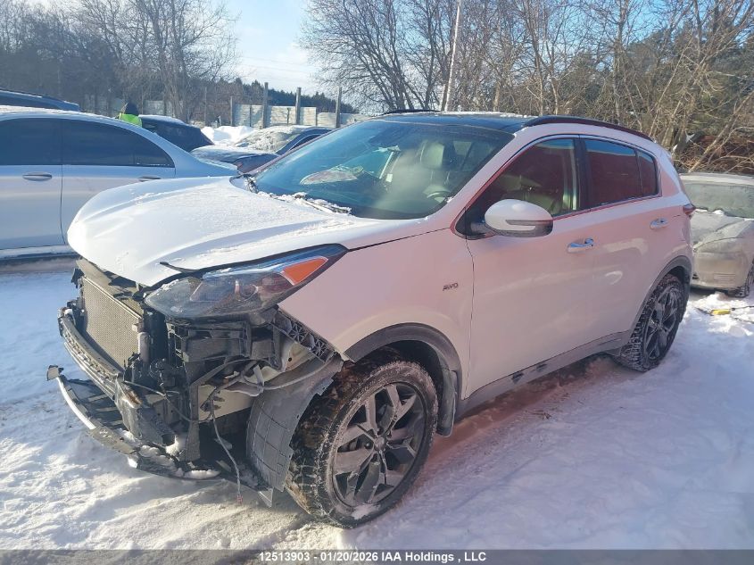 2022 Kia Sportage Ex Premium S/Ex S VIN: KNDPNCAC5N7976252 Lot: 12513903