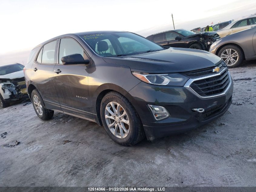 2019 Chevrolet Equinox