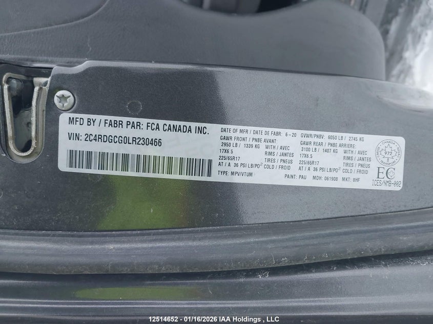 2020 Dodge Grand Caravan Sxt VIN: 2C4RDGCG0LR230466 Lot: 12514652