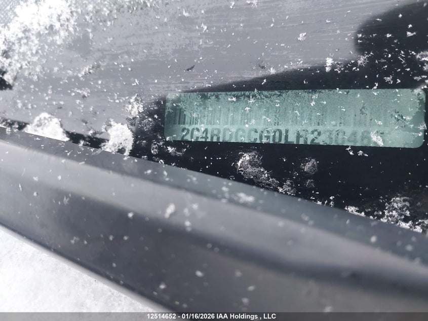 2020 Dodge Grand Caravan Sxt VIN: 2C4RDGCG0LR230466 Lot: 12514652