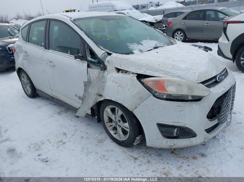 1FADP5CUXEL509873 FORD C-MAX Photo 1