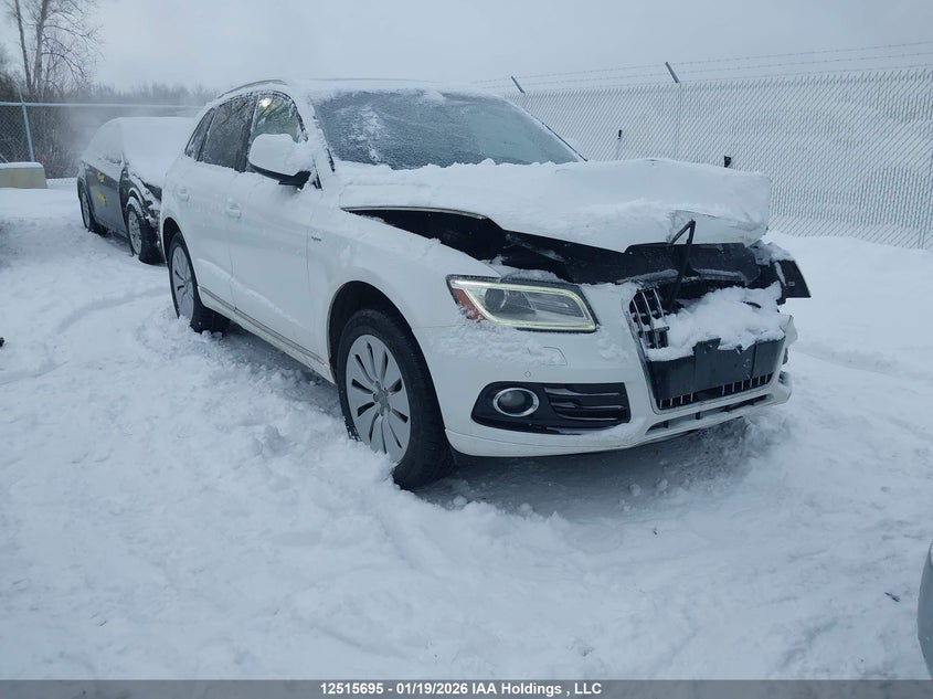 WA1C8DFP1DA056332 AUDI Q5 Photo 1