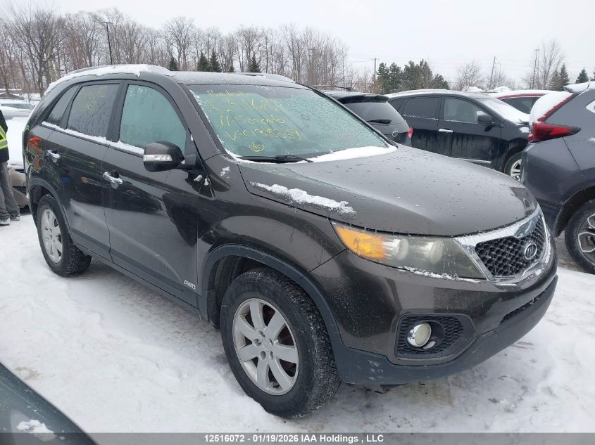 2011 Kia Sorento