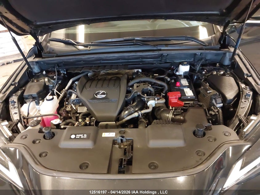 2023 Lexus Nx 350 VIN: 2T2GGCEZ8PC020768 Lot: 12516197