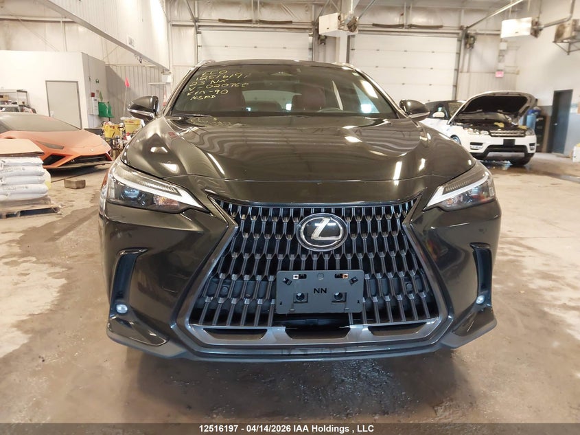 2023 Lexus Nx 350 VIN: 2T2GGCEZ8PC020768 Lot: 12516197