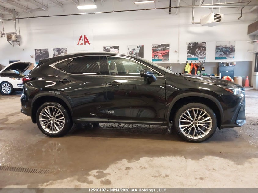 2023 Lexus Nx 350 VIN: 2T2GGCEZ8PC020768 Lot: 12516197
