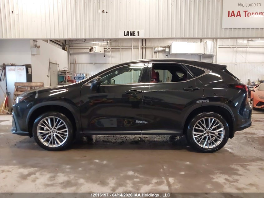 2023 Lexus Nx 350 VIN: 2T2GGCEZ8PC020768 Lot: 12516197
