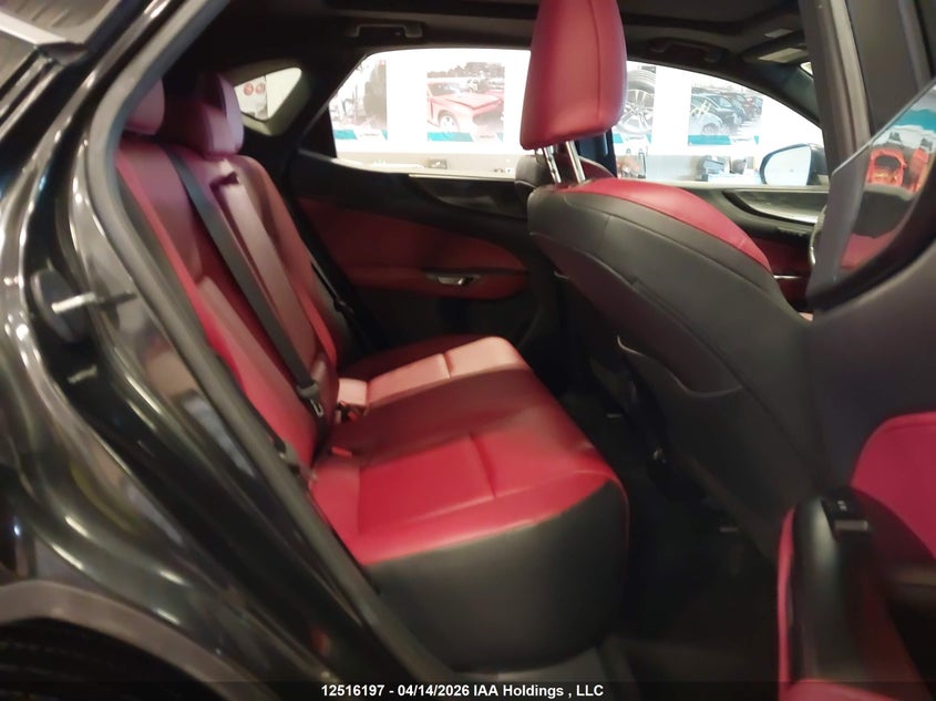 2023 Lexus Nx 350 VIN: 2T2GGCEZ8PC020768 Lot: 12516197