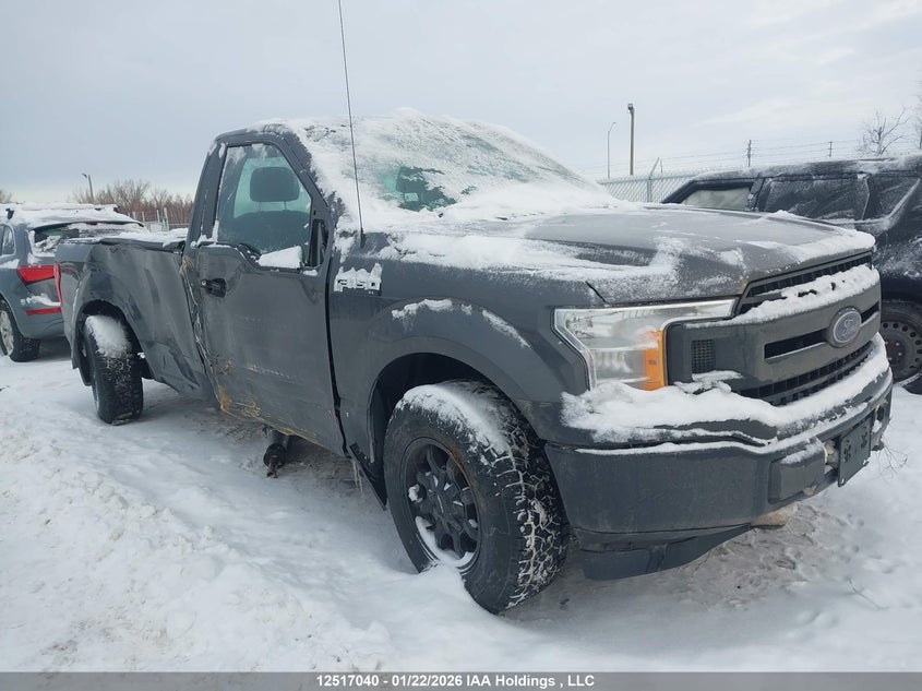 1FTMF1EB9KKD20067 2019 Ford F-150 Xl auction photo 1