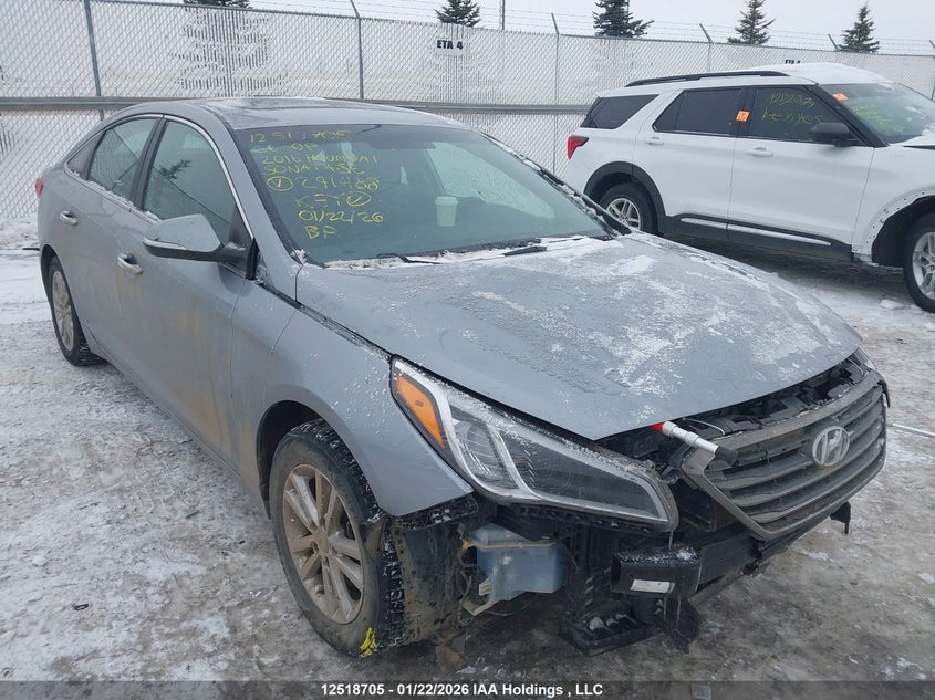 5NPE24AF7GH291488 HYUNDAI SONATA Photo 1