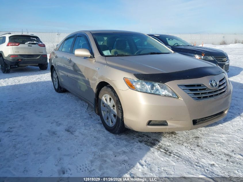 2009 Toyota Camry Hybrid
