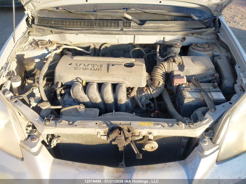 2006 Toyota Matrix Wagon VIN: 2T1KR32E46C563477 Lot: 12519498