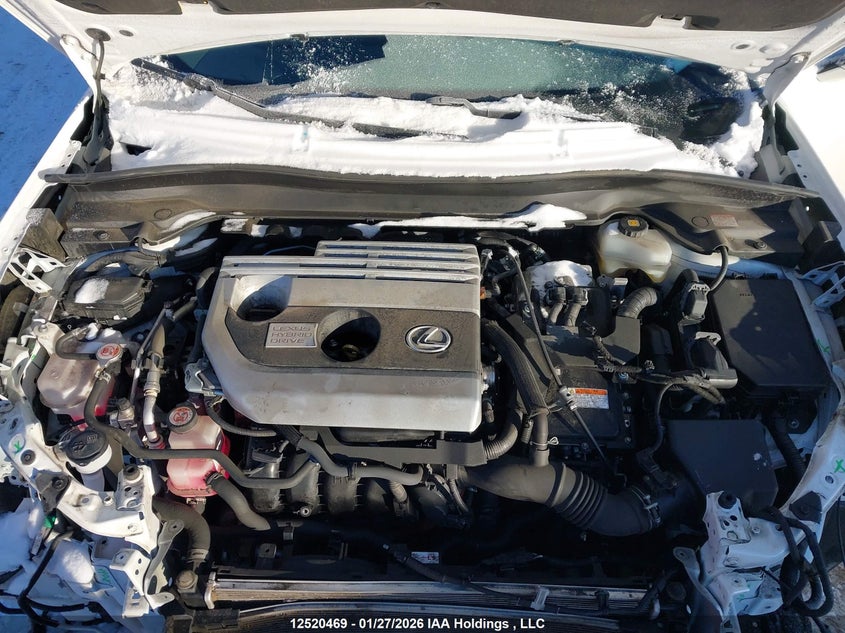 2020 Lexus Ux 250H VIN: JTHP9JBH1L2022318 Lot: 12520469