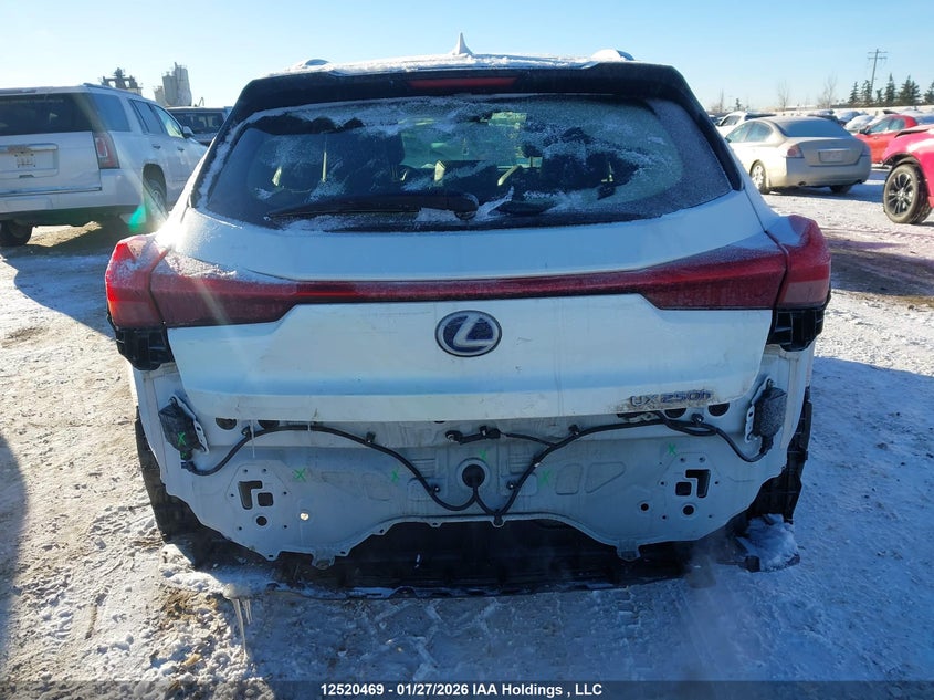 2020 Lexus Ux 250H VIN: JTHP9JBH1L2022318 Lot: 12520469