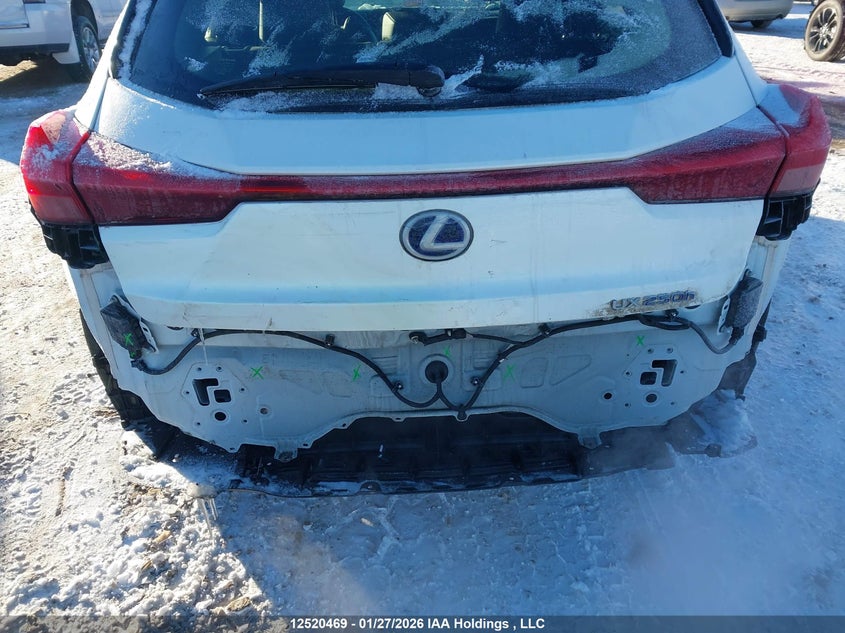 2020 Lexus Ux 250H VIN: JTHP9JBH1L2022318 Lot: 12520469