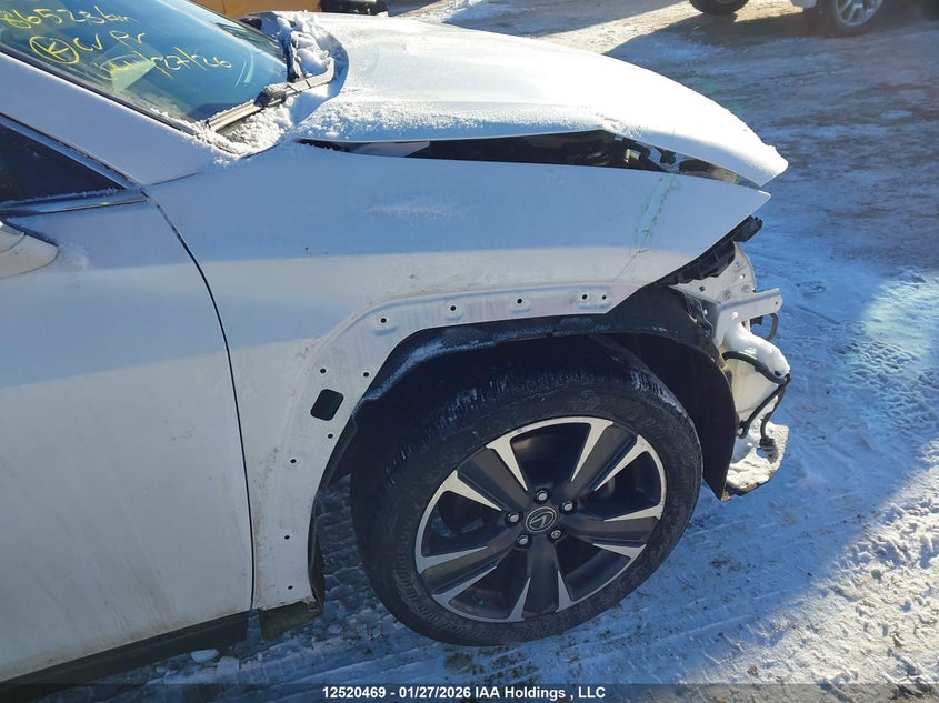 2020 Lexus Ux 250H VIN: JTHP9JBH1L2022318 Lot: 12520469