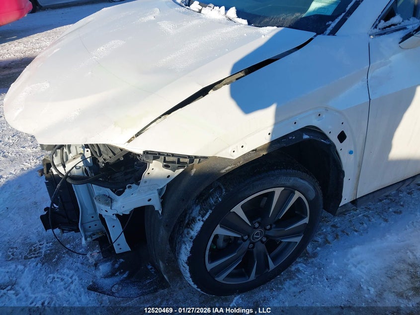 2020 Lexus Ux 250H VIN: JTHP9JBH1L2022318 Lot: 12520469