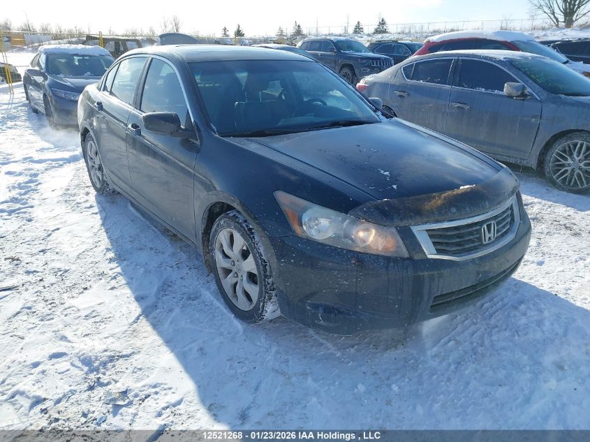 2010 Honda Accord