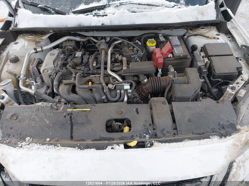 2023 Nissan Sentra Sv VIN: 3N1AB8CV5PY294177 Lot: 12521604