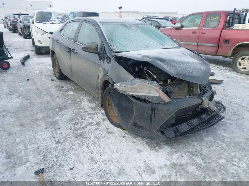 2T1BURHE2HC747473 2017 Toyota Corolla L/Le/Xle/Se/Xse auction photo 1