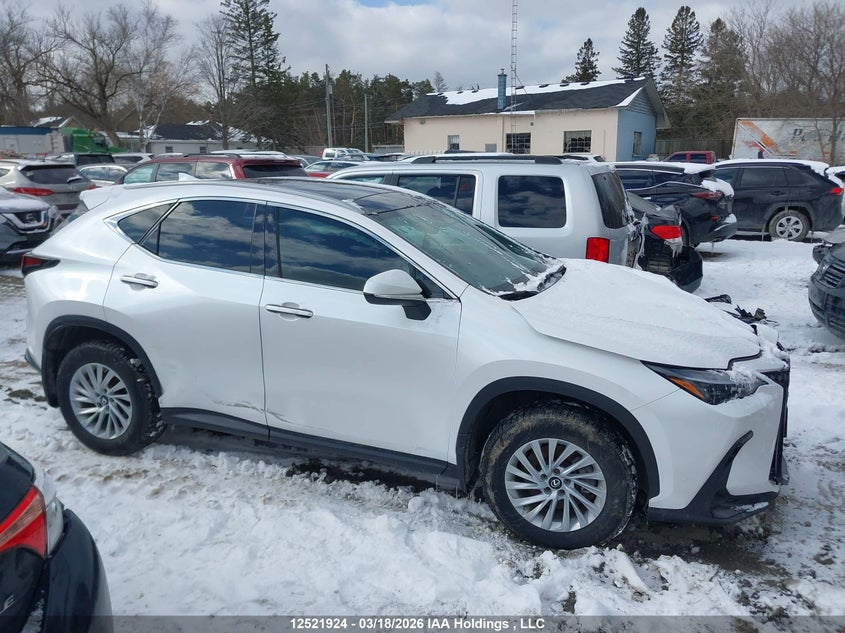 2023 Lexus Nx 350 VIN: 2T2GGCEZ1PC020708 Lot: 12521924